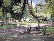 Touching Trees  1987